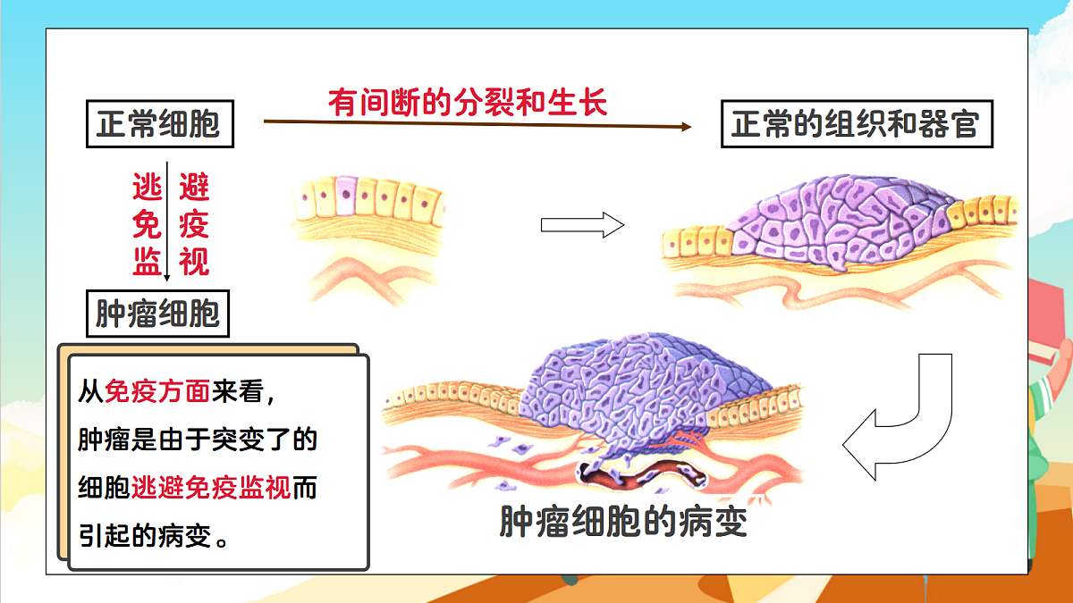 浙教版科学九下3.4 《非传染性疾病》（教学课件）第6页