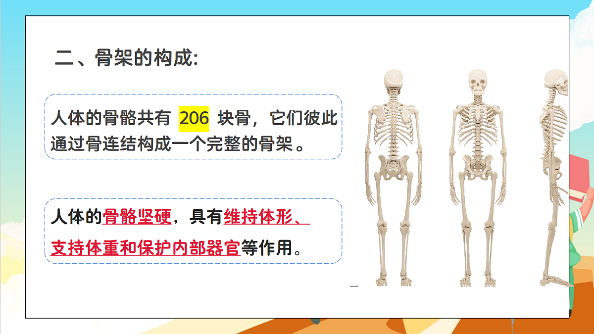 浙教版科学九下3.5 《人的运动系统和保健》（教学课件）第5页