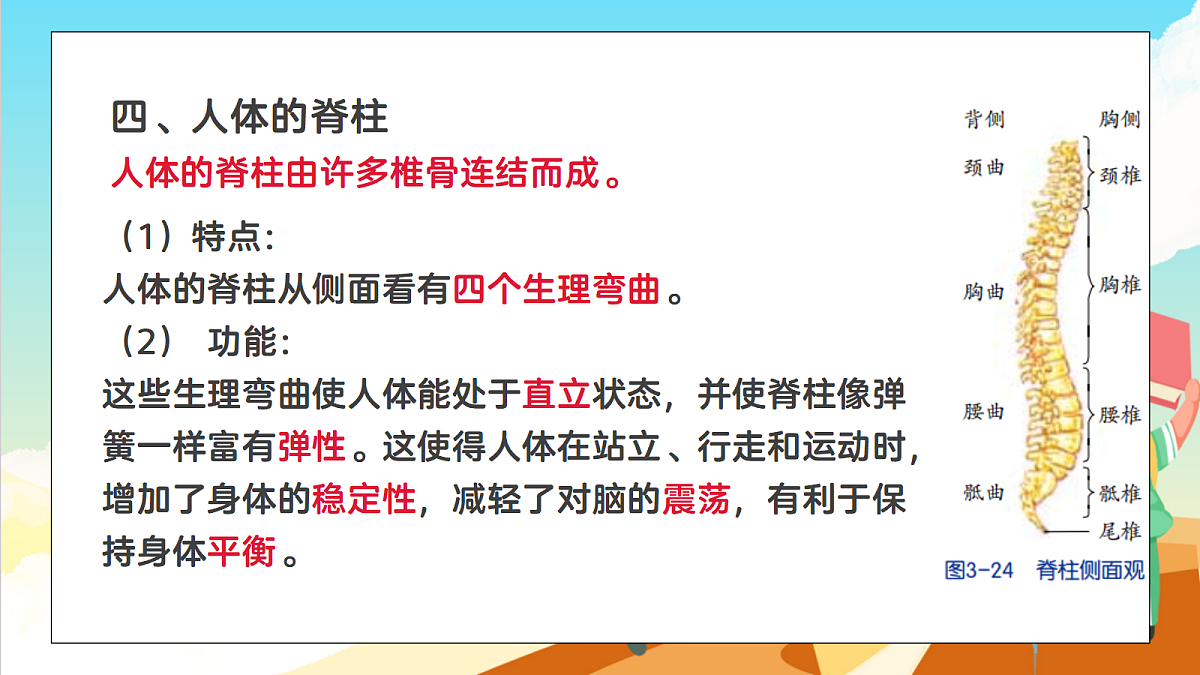 浙教版科学九下3.5 《人的运动系统和保健》（教学课件）第7页