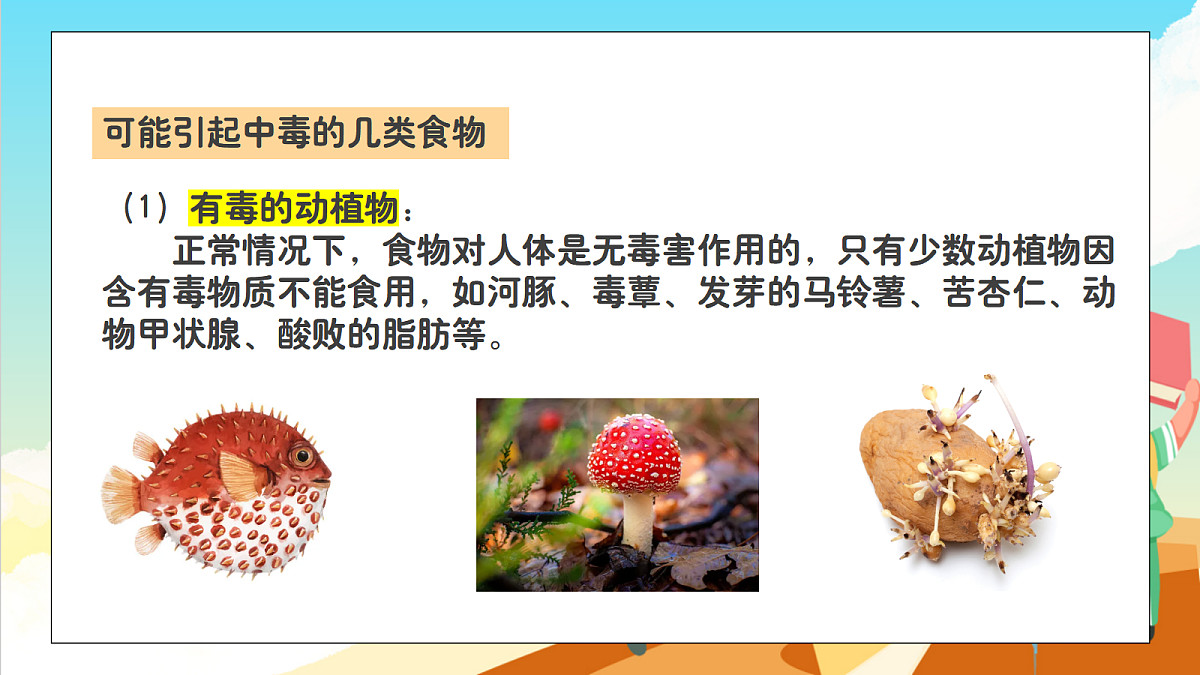 浙教版科学九下3.6 《健康生活》（教学课件）第5页