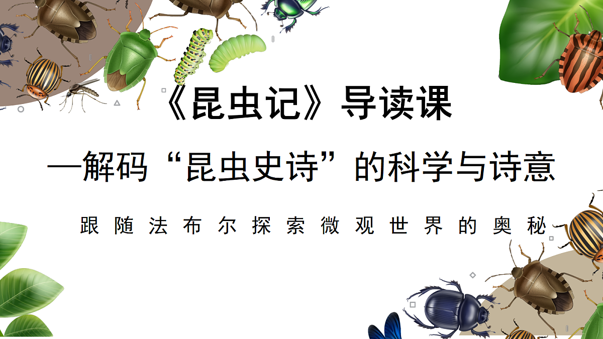18349522第1页