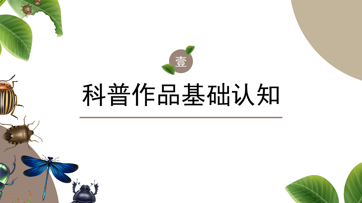18349522第3页