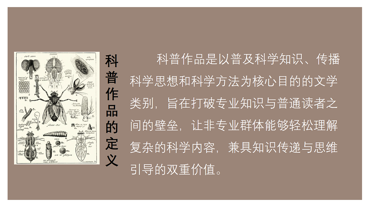 18349522第4页