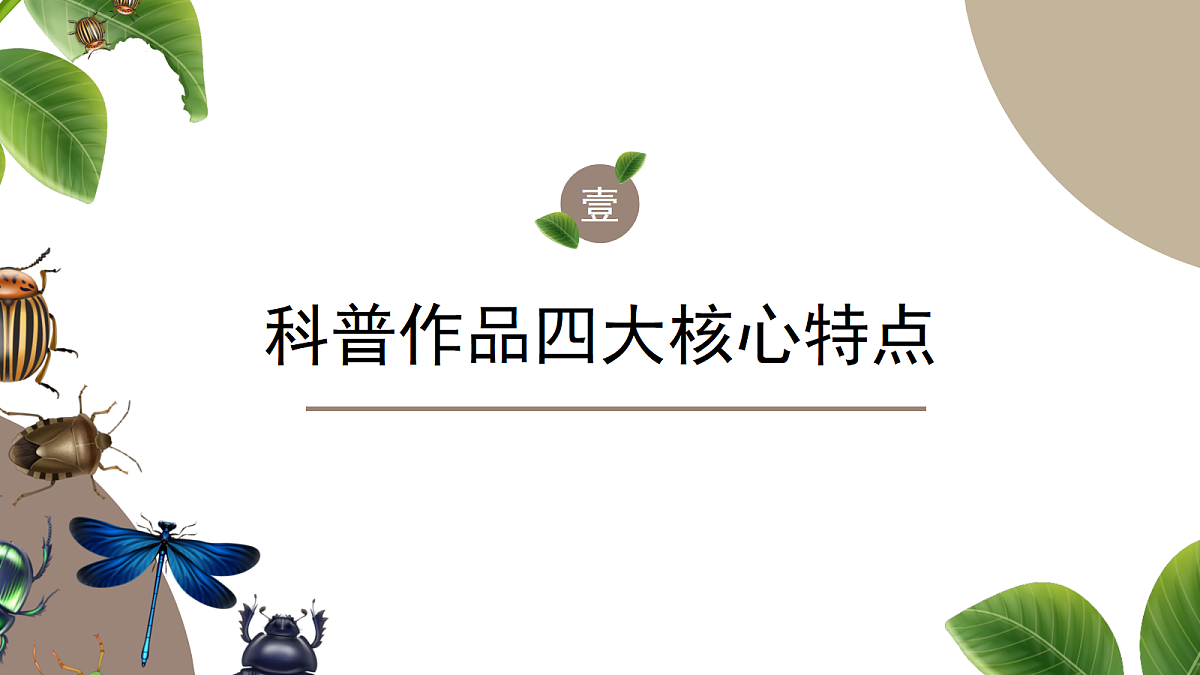 18349522第5页