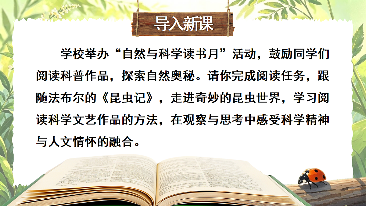 18349525第5页
