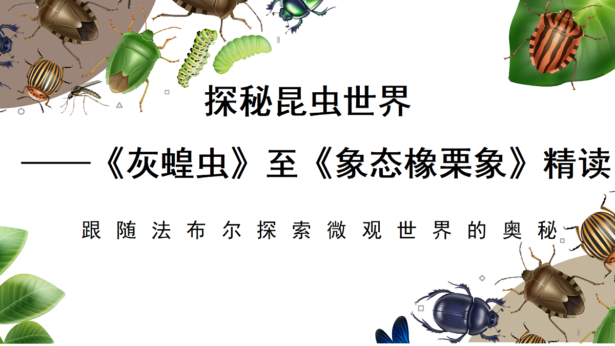18349589第1页