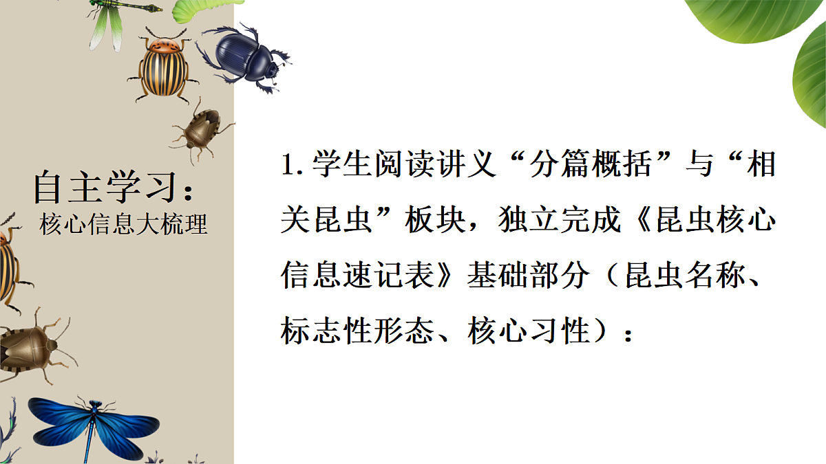 18349589第4页