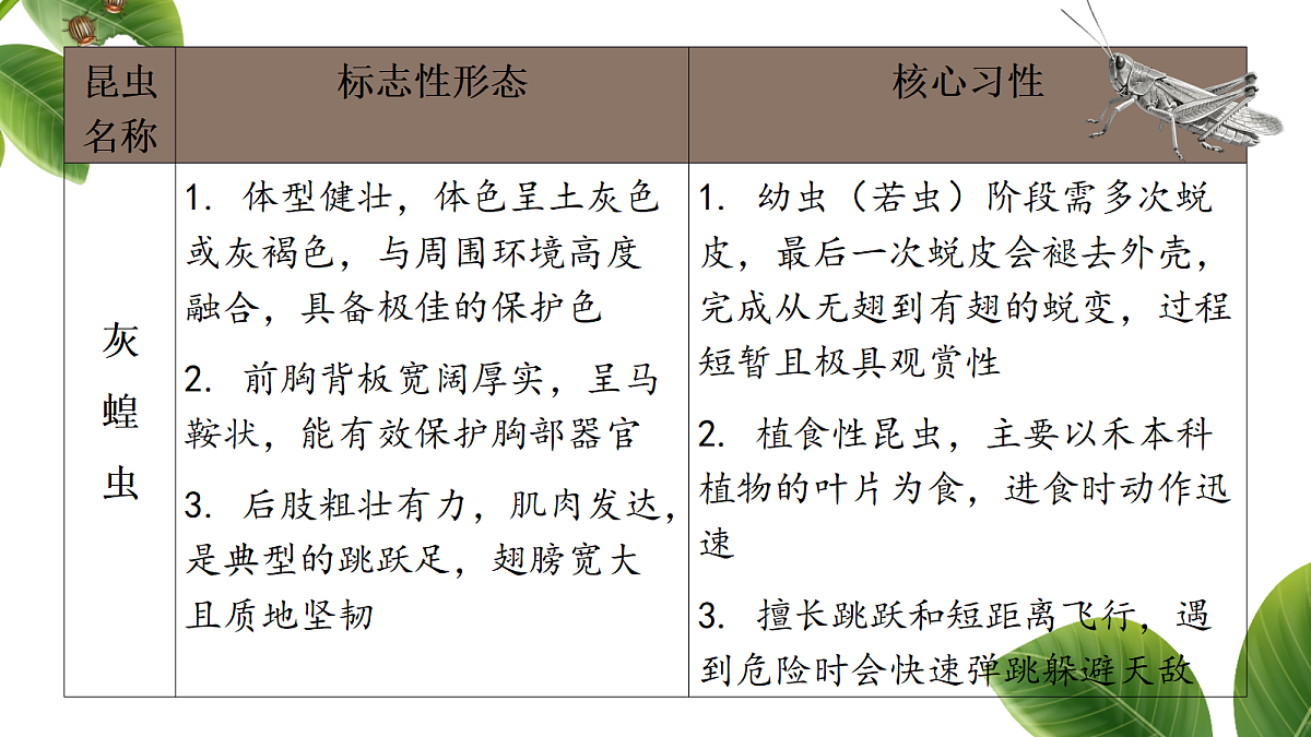 18349589第6页
