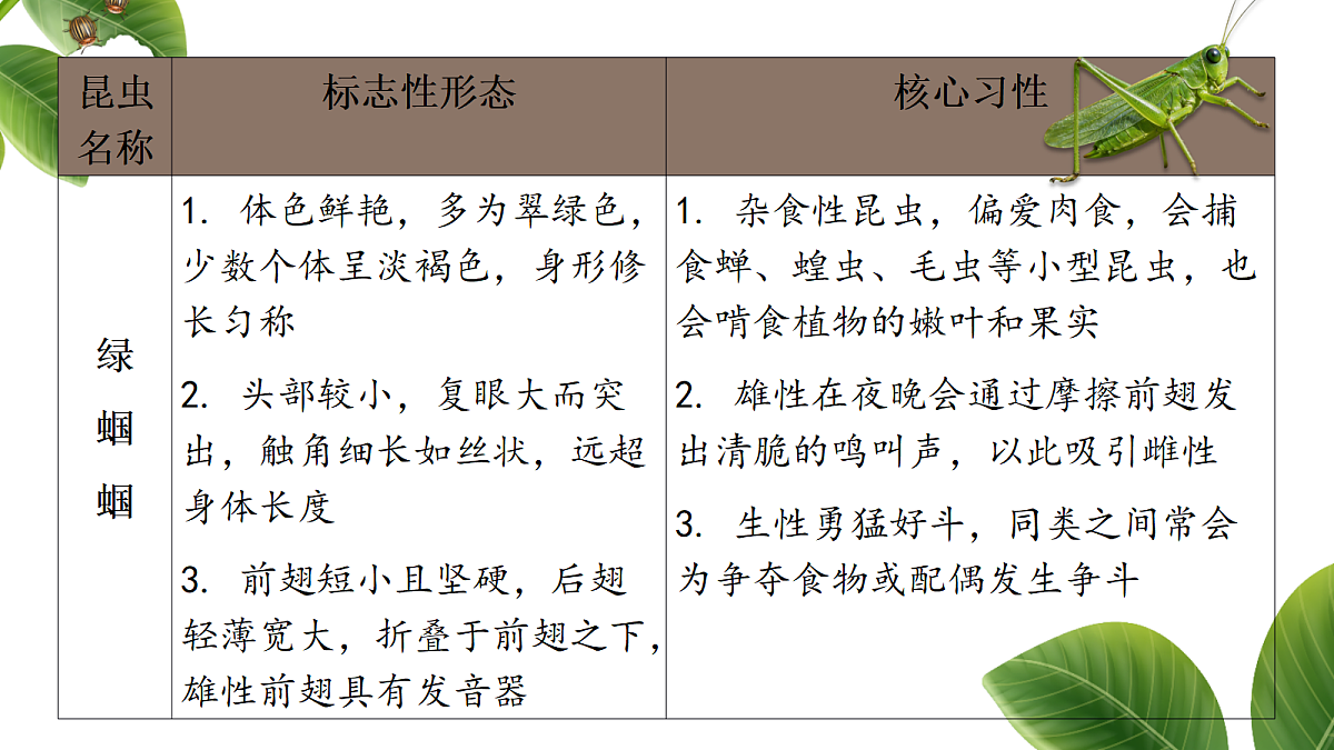 18349589第7页