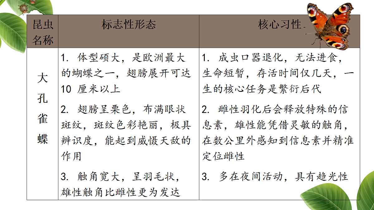 18349589第8页