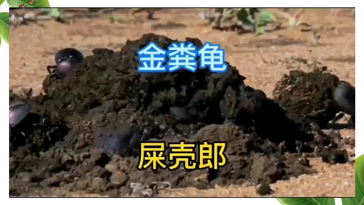 18349591第6页