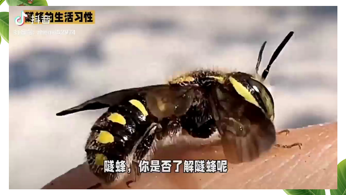 18349591第8页