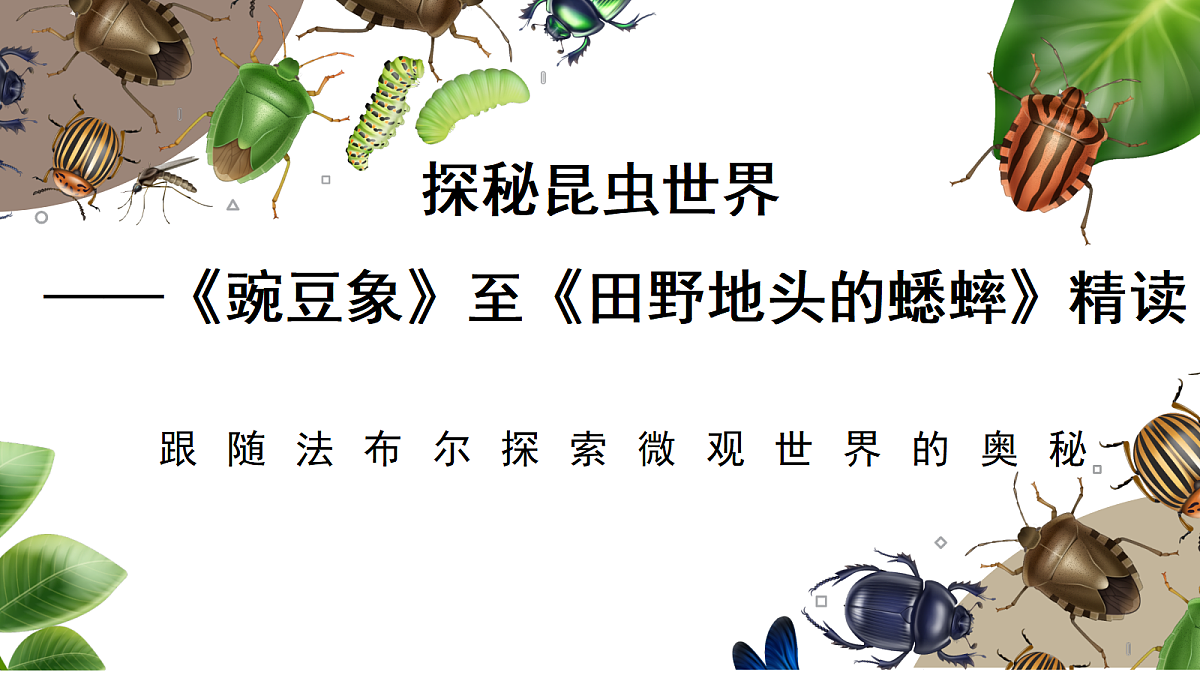 18349592第1页