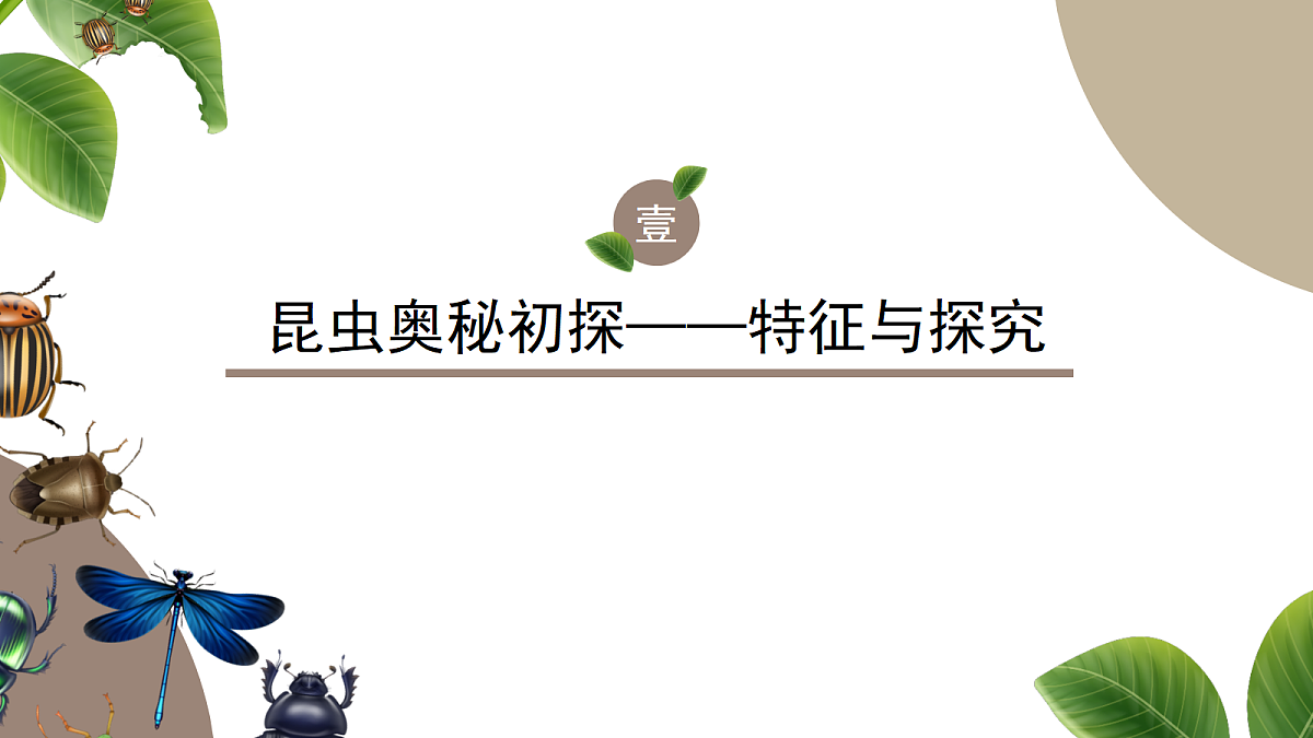 18349592第3页