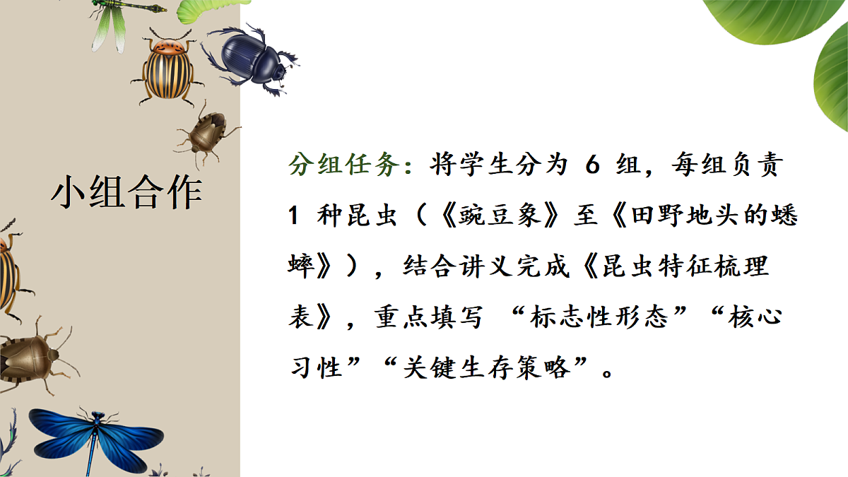 18349592第4页