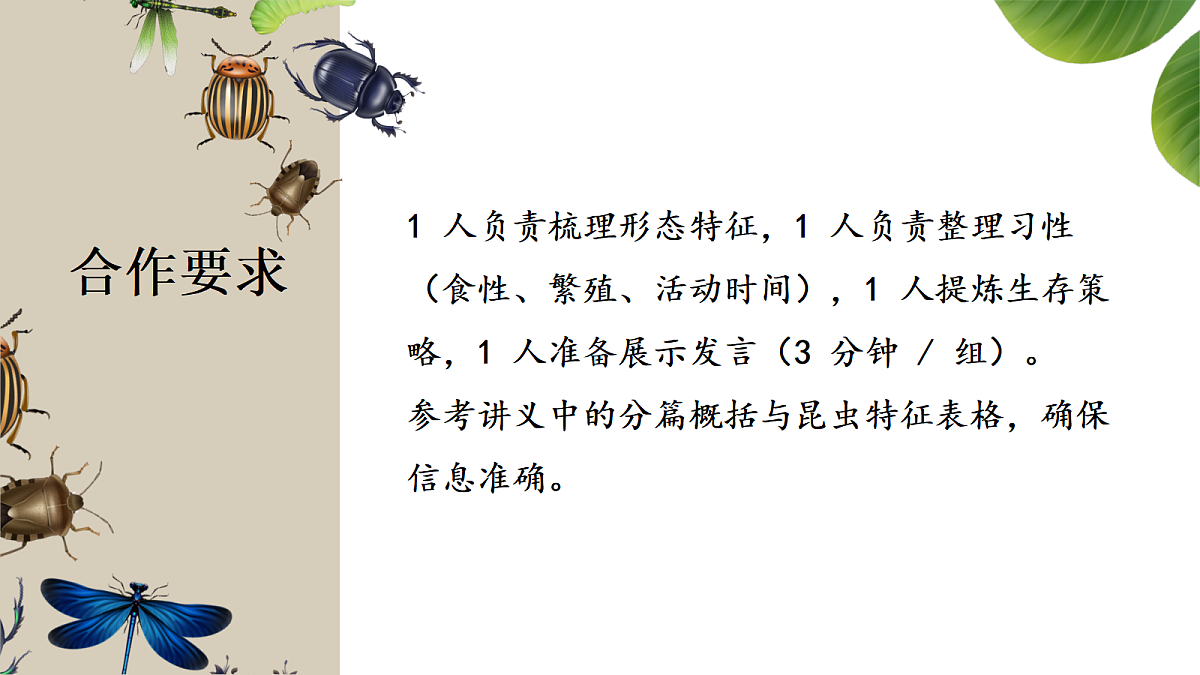 18349592第5页