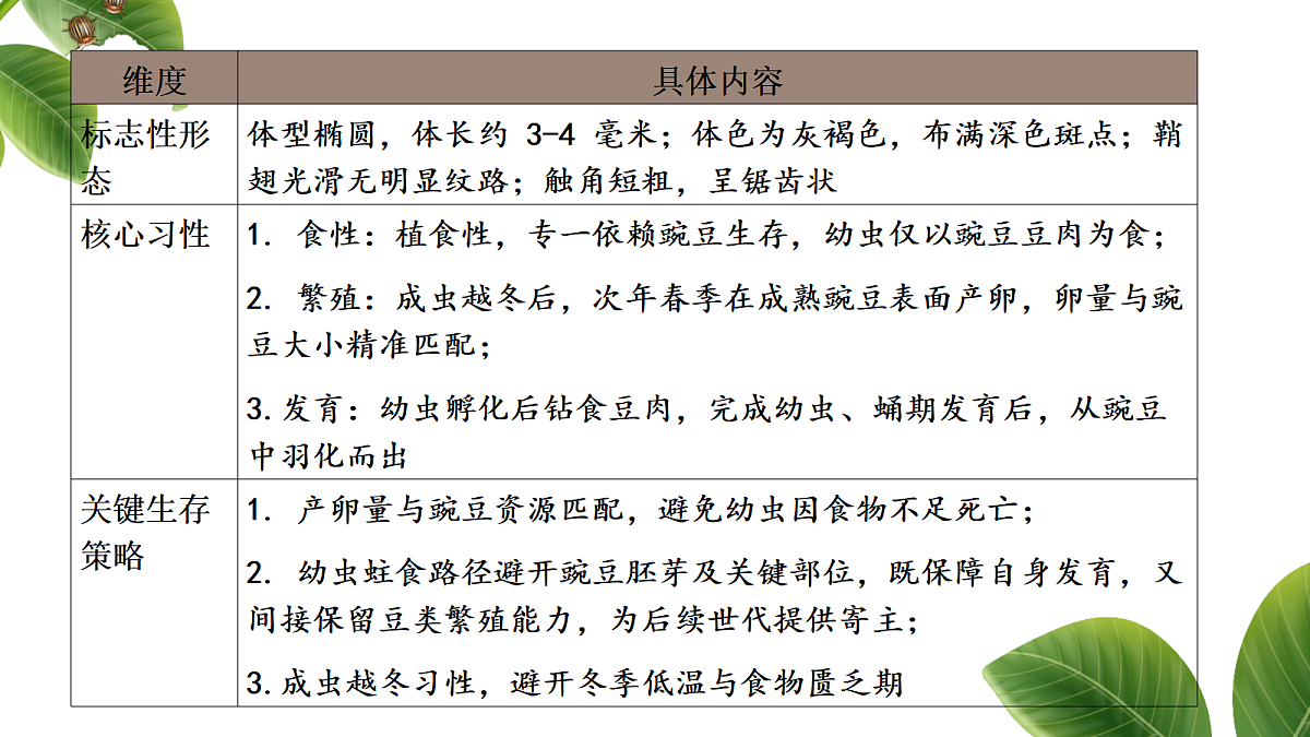 18349592第7页
