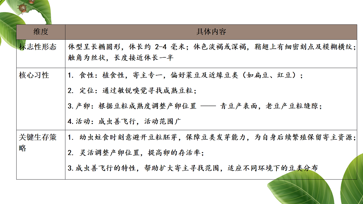 18349592第8页