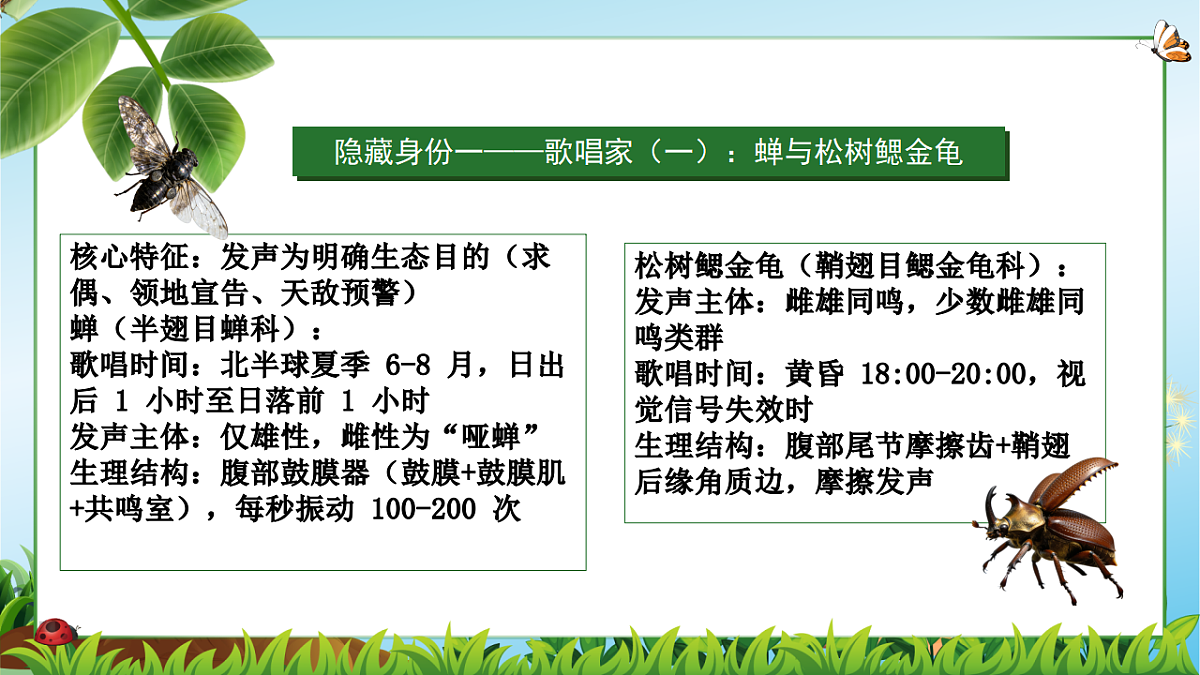 18349593第4页