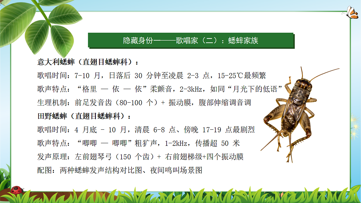 18349593第5页