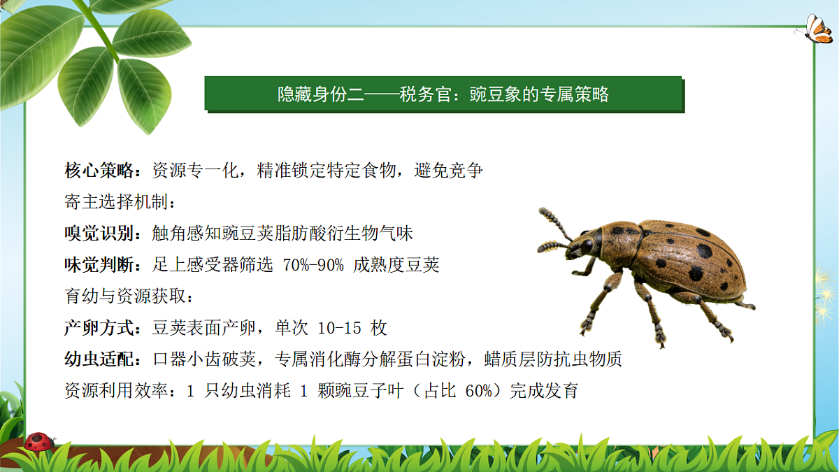 18349593第6页