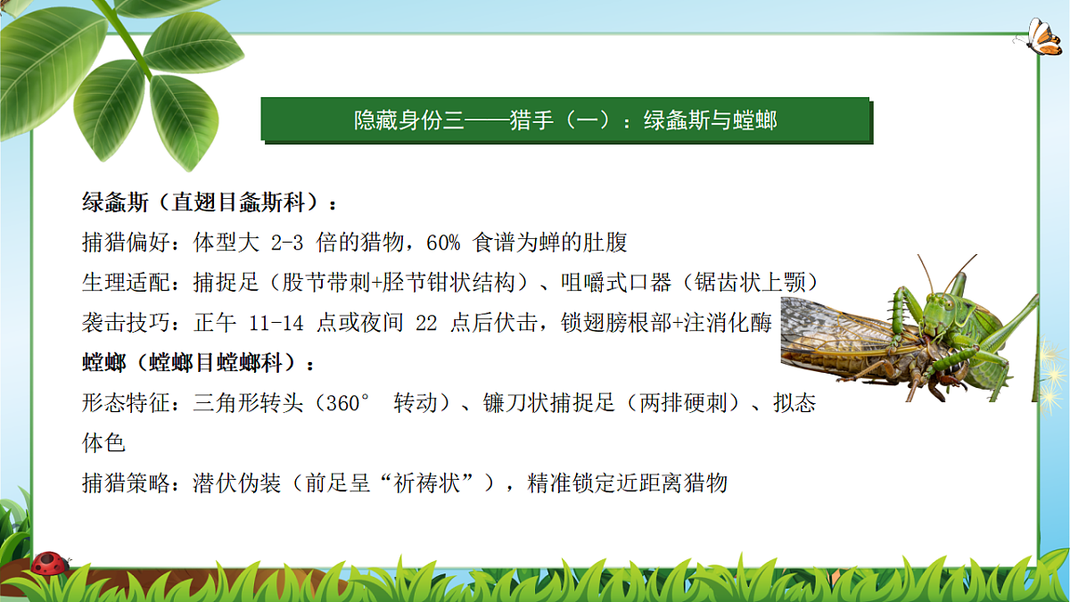 18349593第7页
