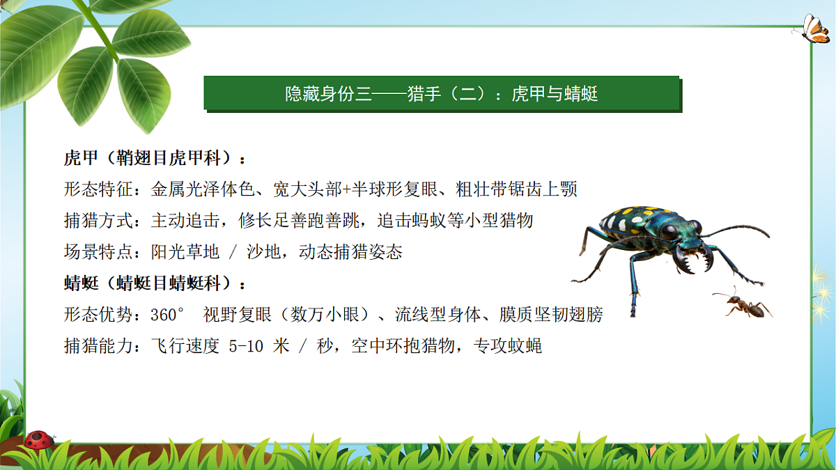 18349593第8页