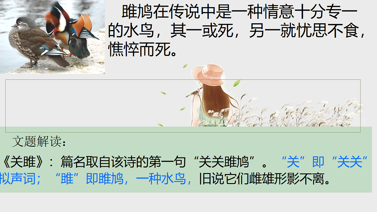 18349806第7页