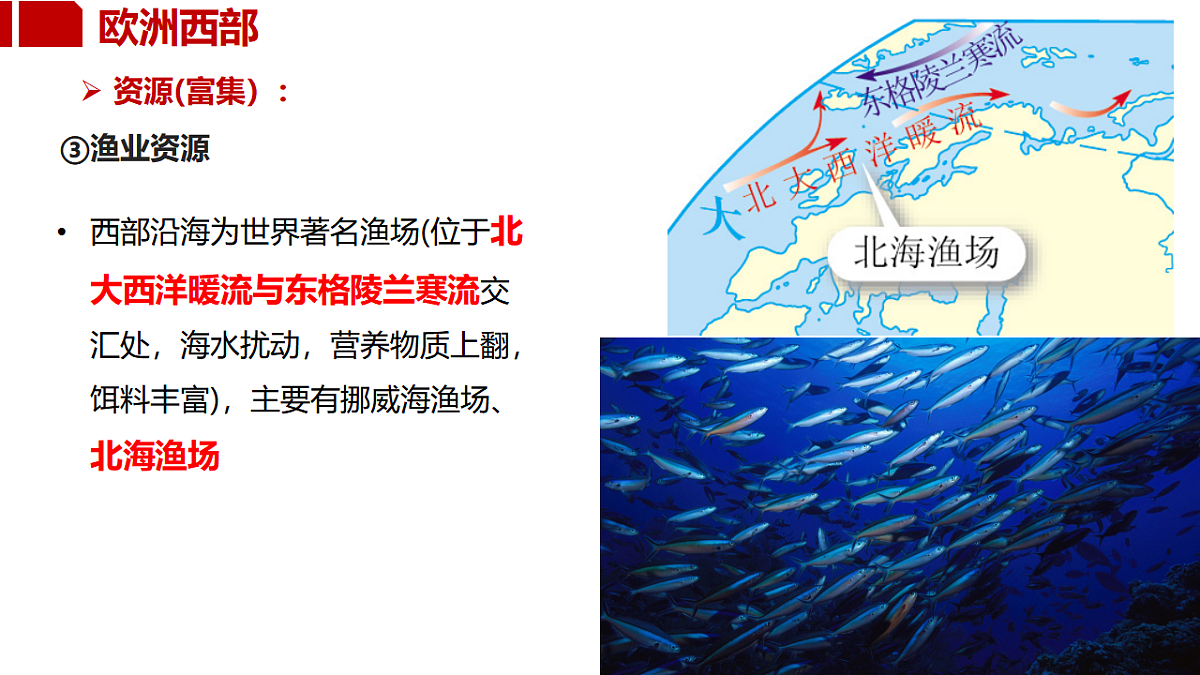 18352597第5页