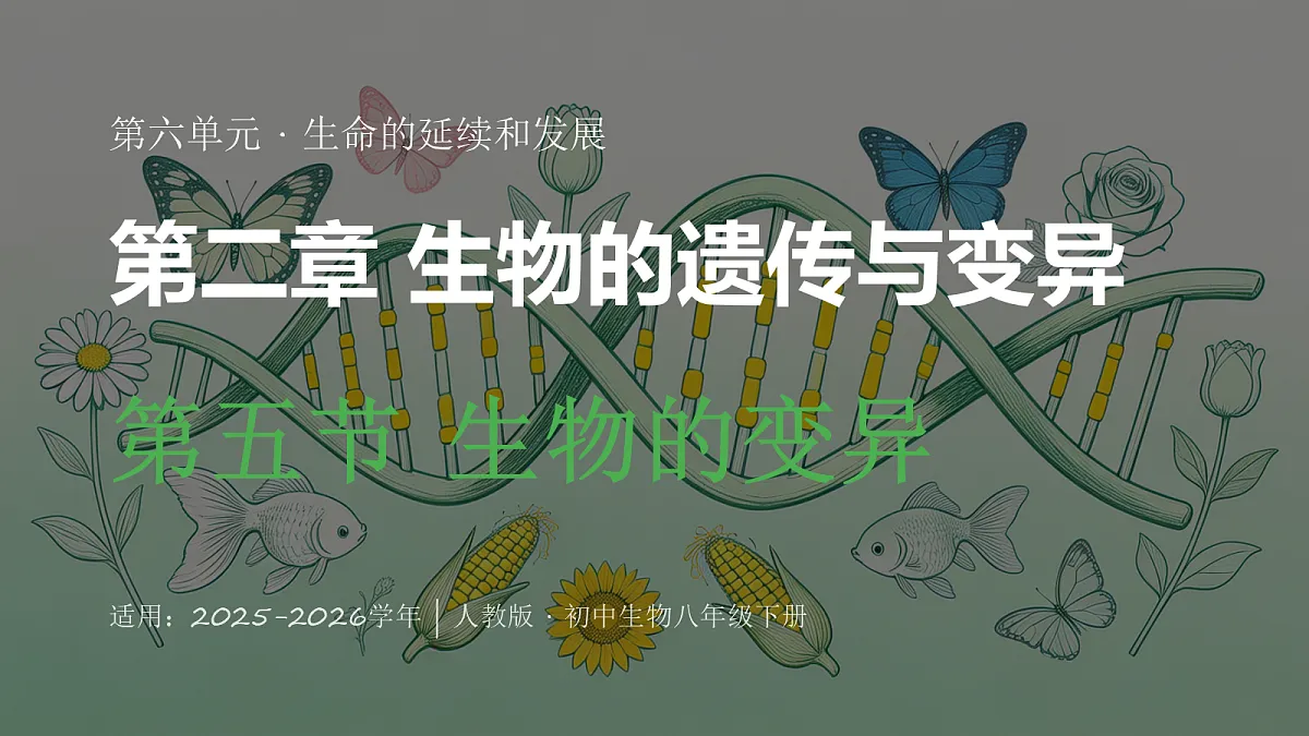 18352608第1页