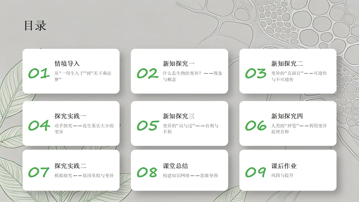 18352608第3页