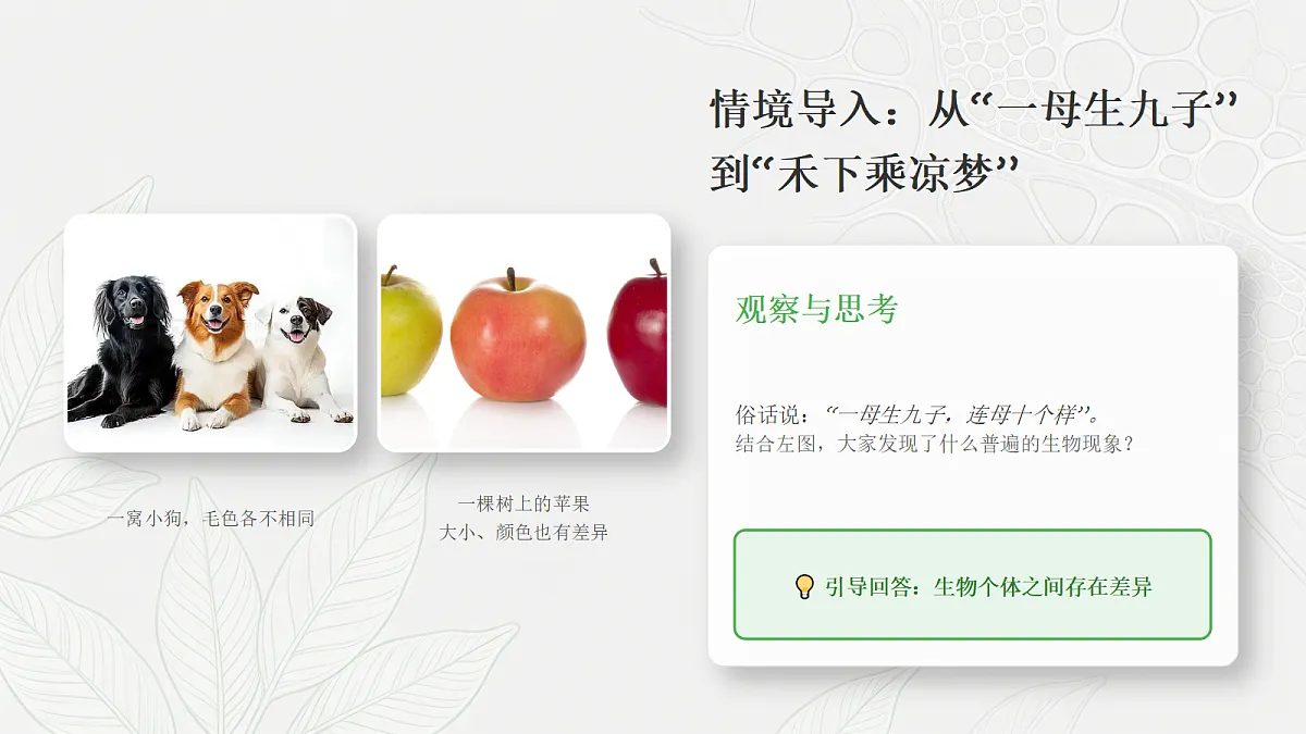 18352608第4页