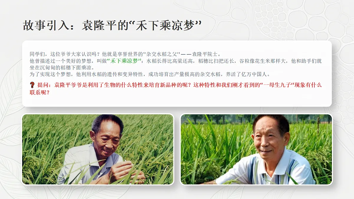 18352608第5页