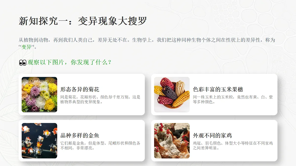 18352608第7页