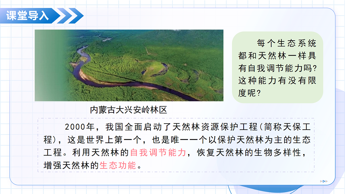 18352662第5页