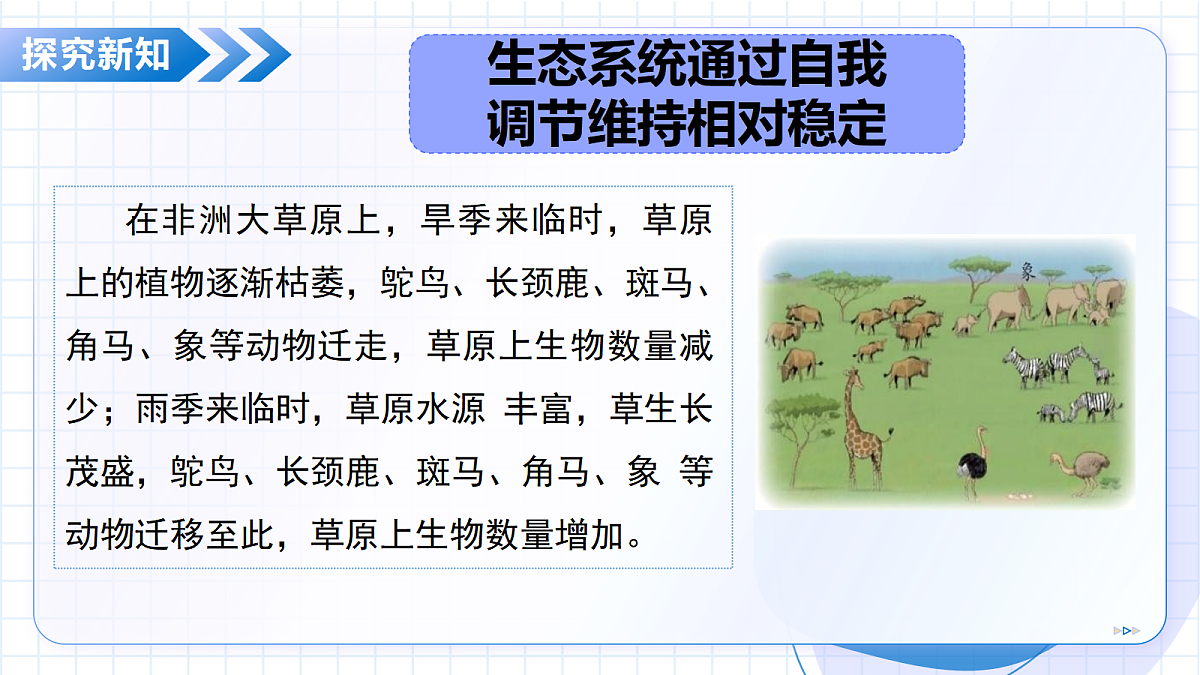 18352662第7页