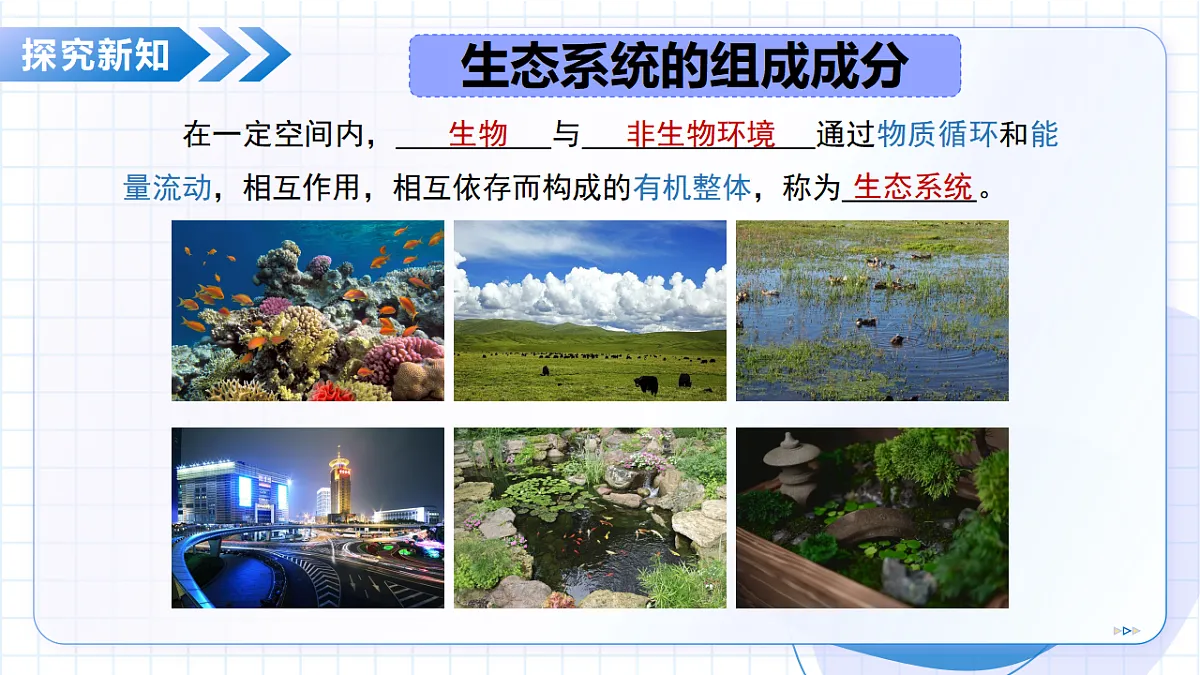 18352669第5页