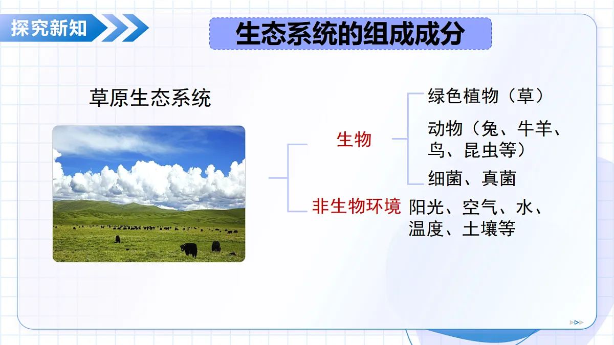 18352669第7页