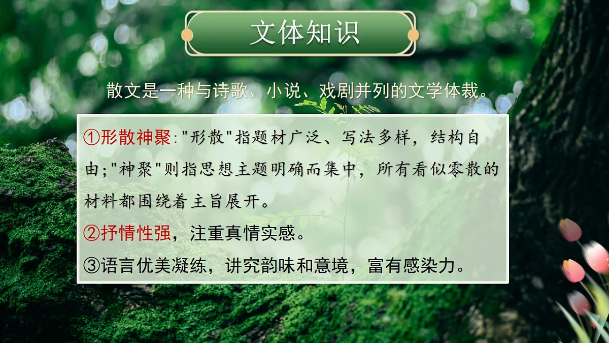 18352819第5页