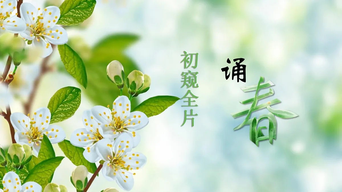 18352819第7页
