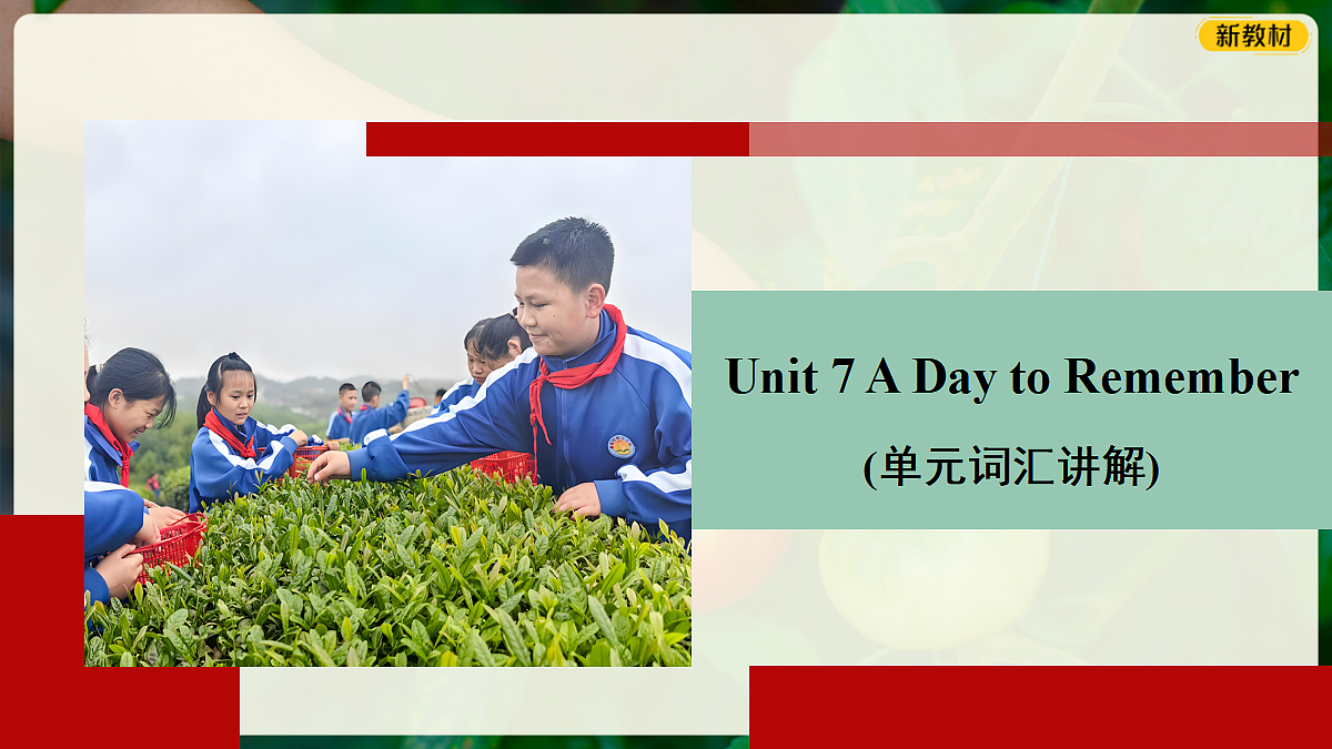 18352982第1页