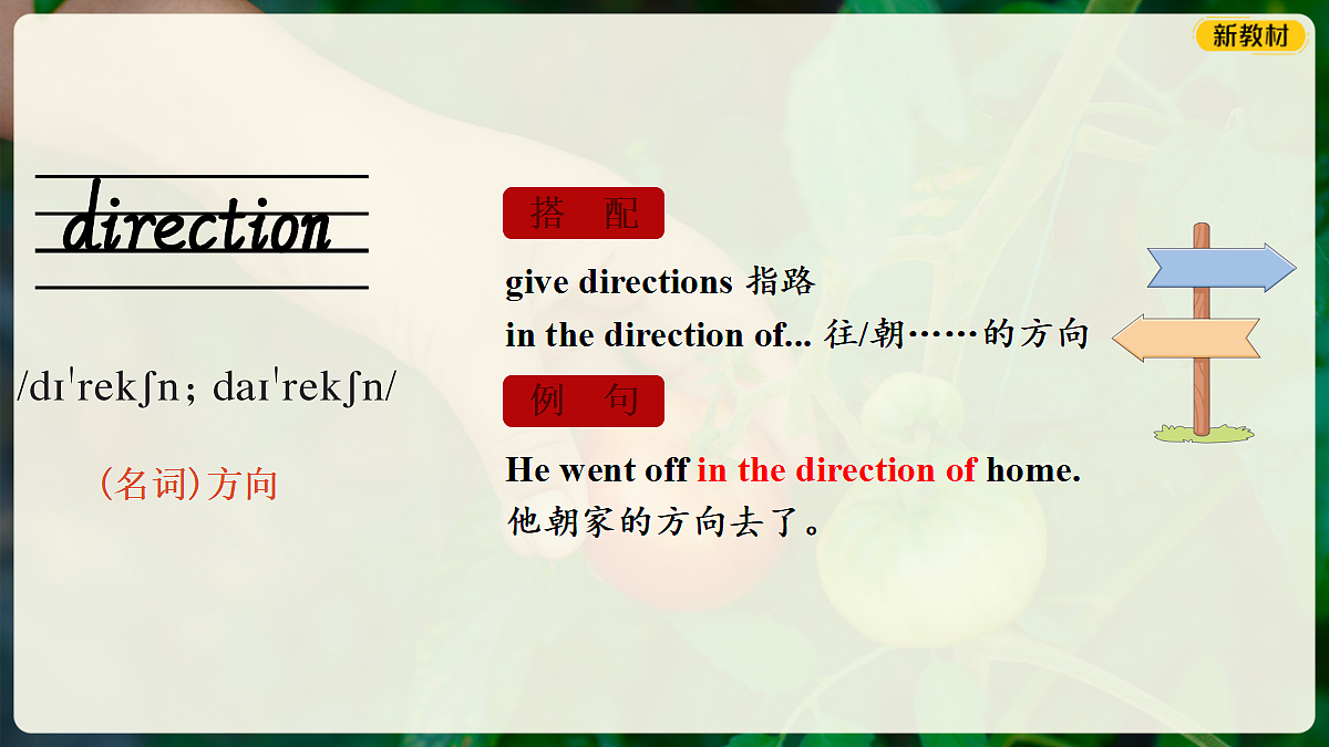18352982第4页