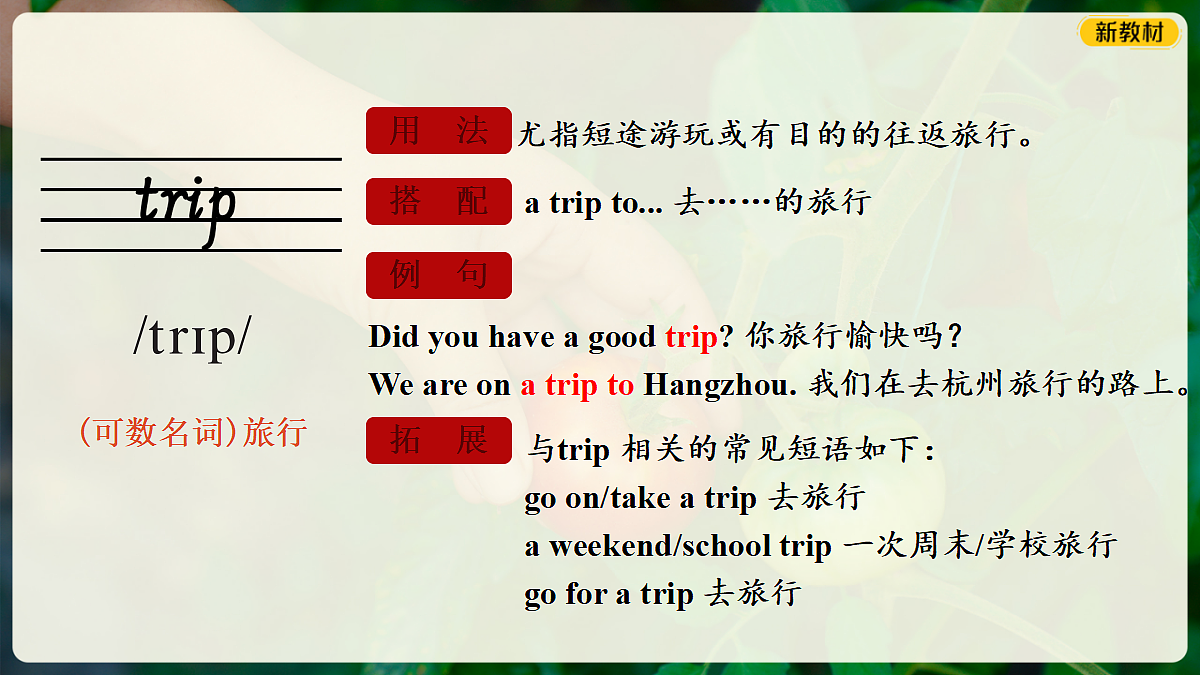 18352982第5页