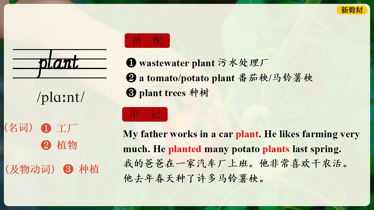 18352982第6页