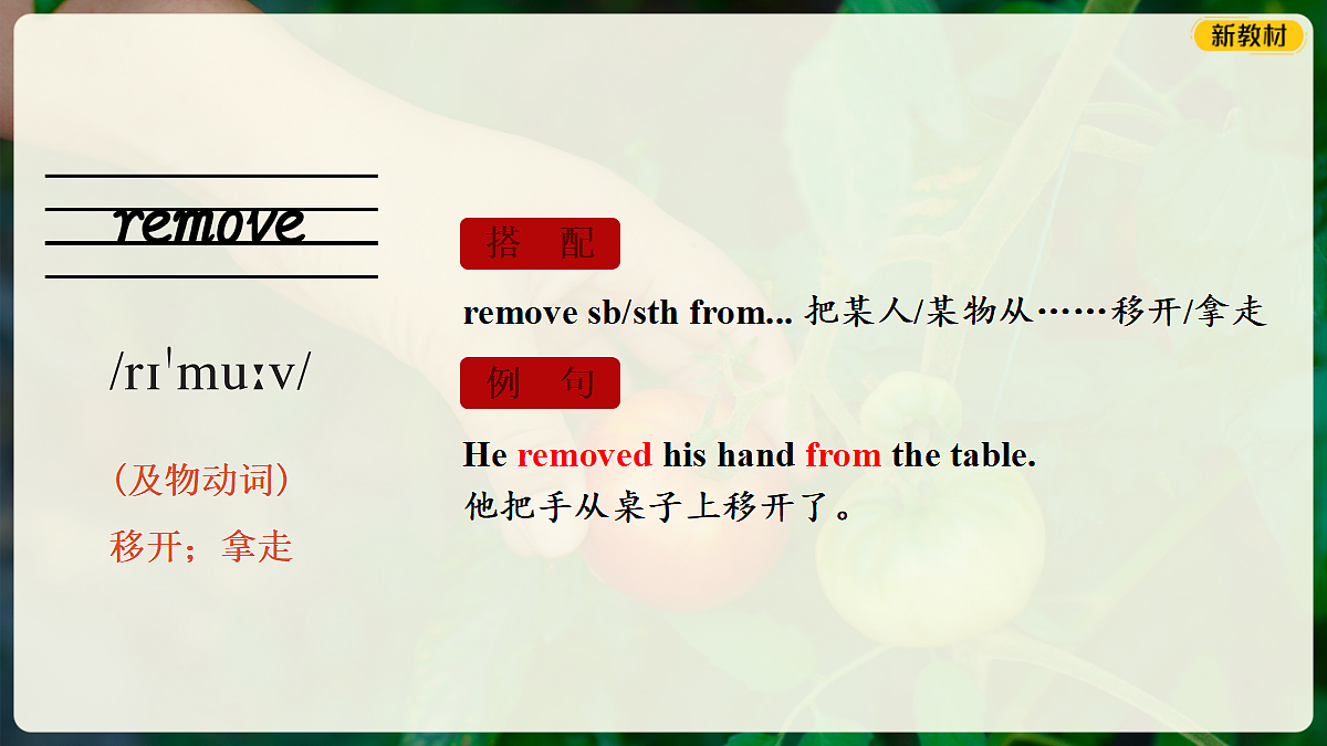 18352982第7页