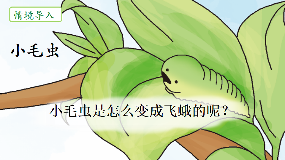 18353540第1页