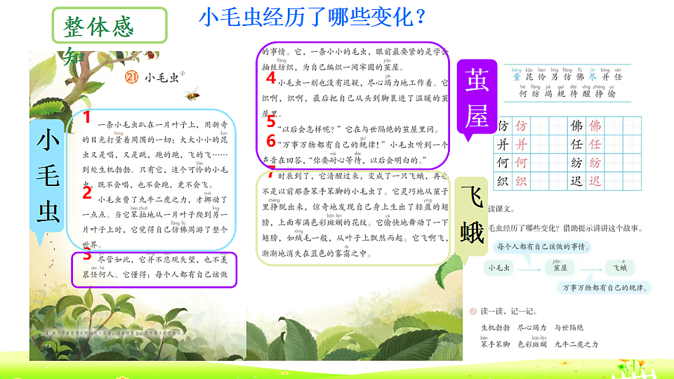 18353540第4页