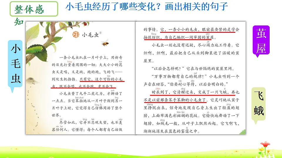 18353540第5页