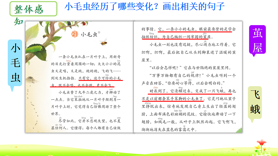 18353540第5页