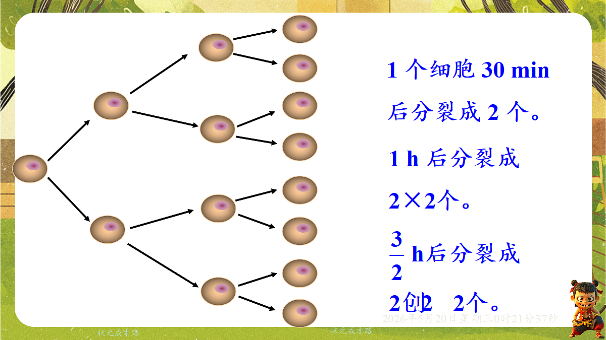 18354665第5页